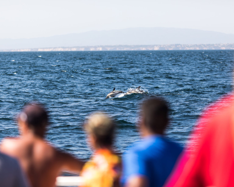 media.Gallery-Gita_1SeaPark-FamilyResort