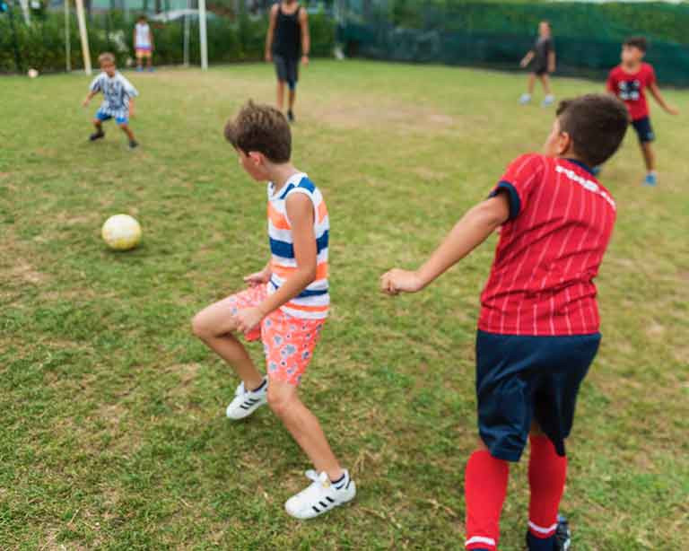 media.campo_da_calcio