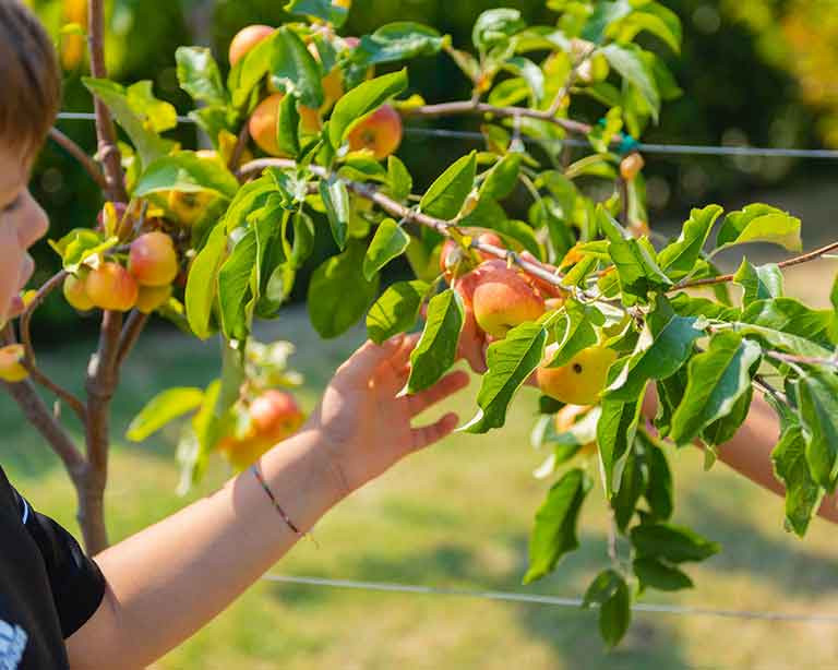 media.hotel_per_famiglie_con_orto